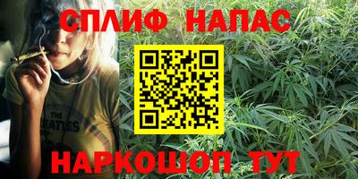 spice Кинель