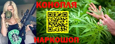 тгк Кингисепп