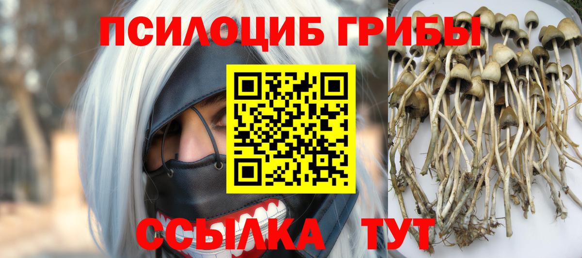 Галлюциногенные грибы мицелий  Вход с VPN  где продают   Псилоцибиновые грибы мухоморы  Краснознаменск 